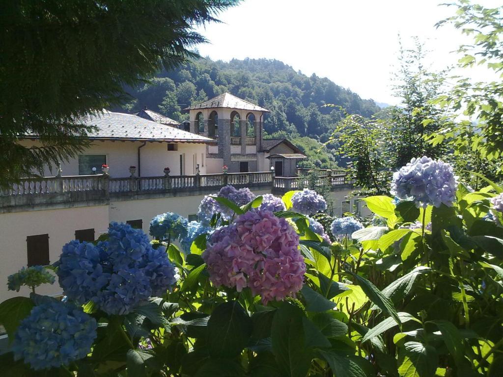 Hotel Villa Delle Ortensie Sant'Omobono Terme Bagian luar foto